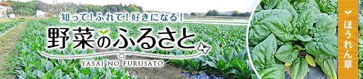 野菜のふるさと