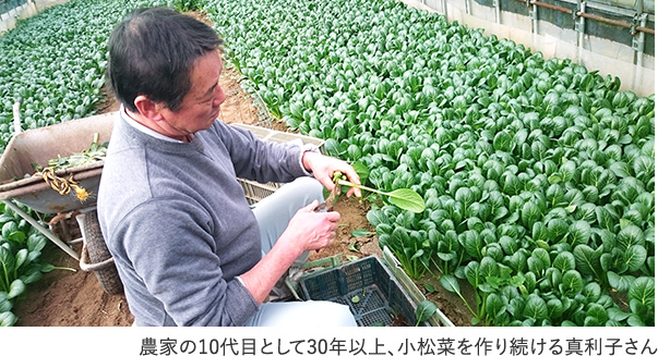 農家の10代目として30年以上、小松菜を作り続ける真利子さん