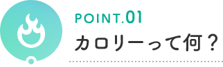 POINT.01 カロリーって何？