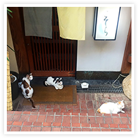 スマイルアルバム