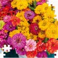 ranking image