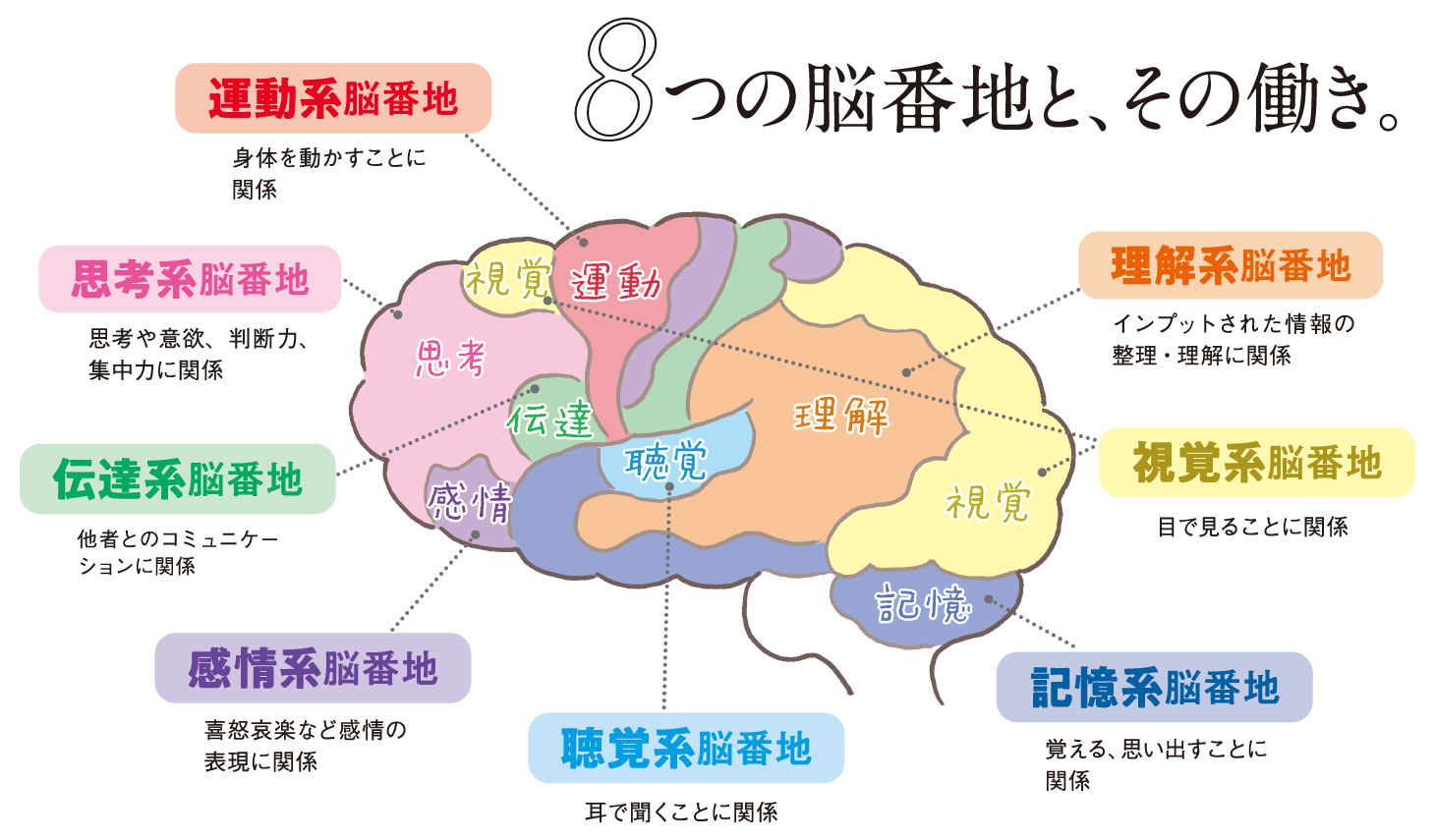 脳の働きを8つの領域に分けた図。運動系脳番地（身体を動かす）、思考系脳番地（思考や判断力・集中力）、伝達系脳番地（コミュニケーション）、感情系脳番地（感情の表現）、聴覚系脳番地（耳で聞く）、理解系脳番地（情報の整理・理解）、視覚系脳番地（目で見る）、記憶系脳番地（覚える・思い出す）を示している。
