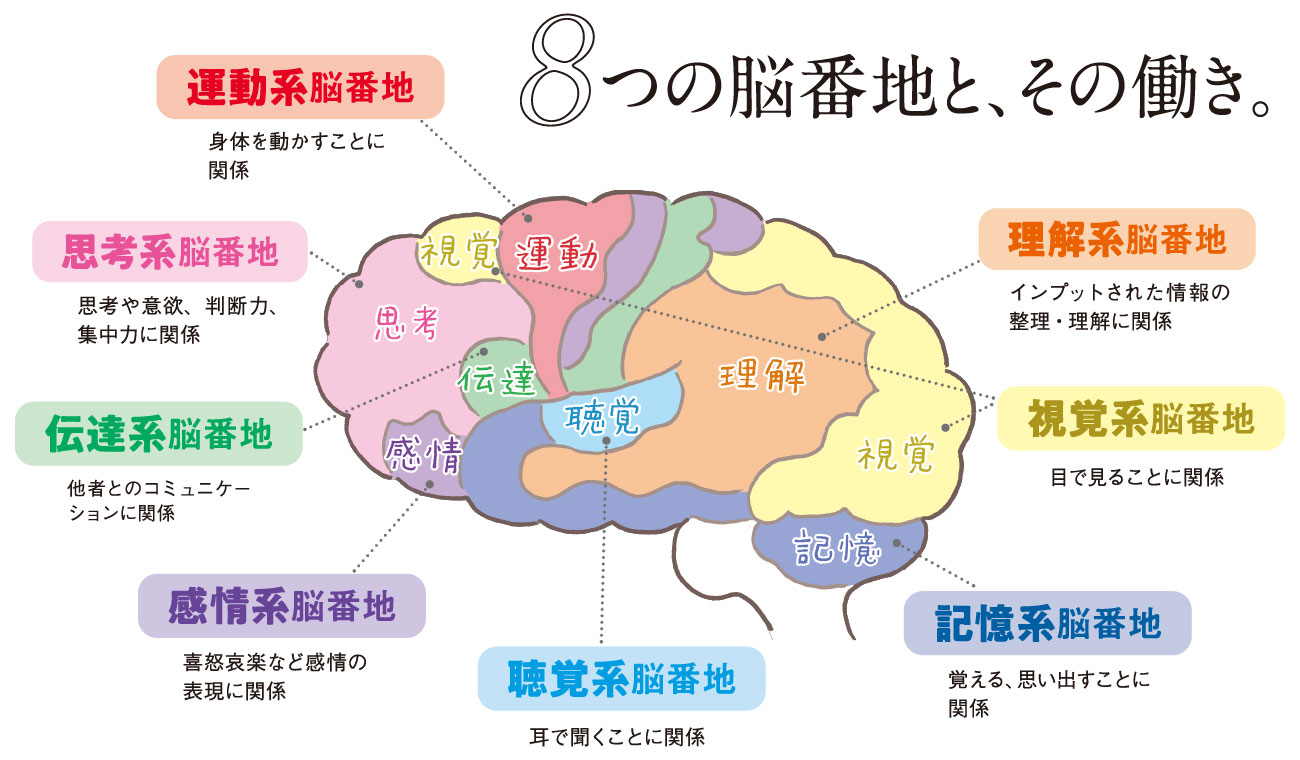8つの脳番地と、その働き。