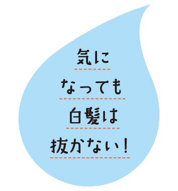 気になっても白髪は抜かない！