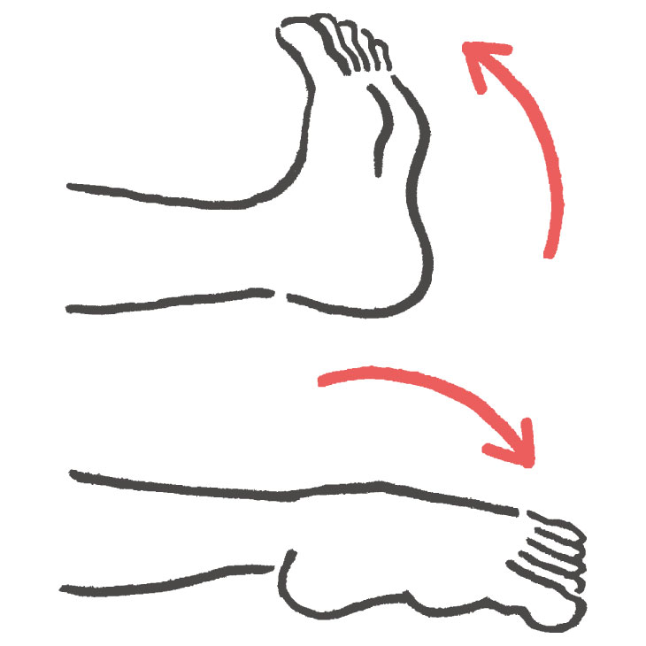 こむら返り予防のために、つま先を手前と奥に動かしてふくらはぎを伸ばすストレッチ方法