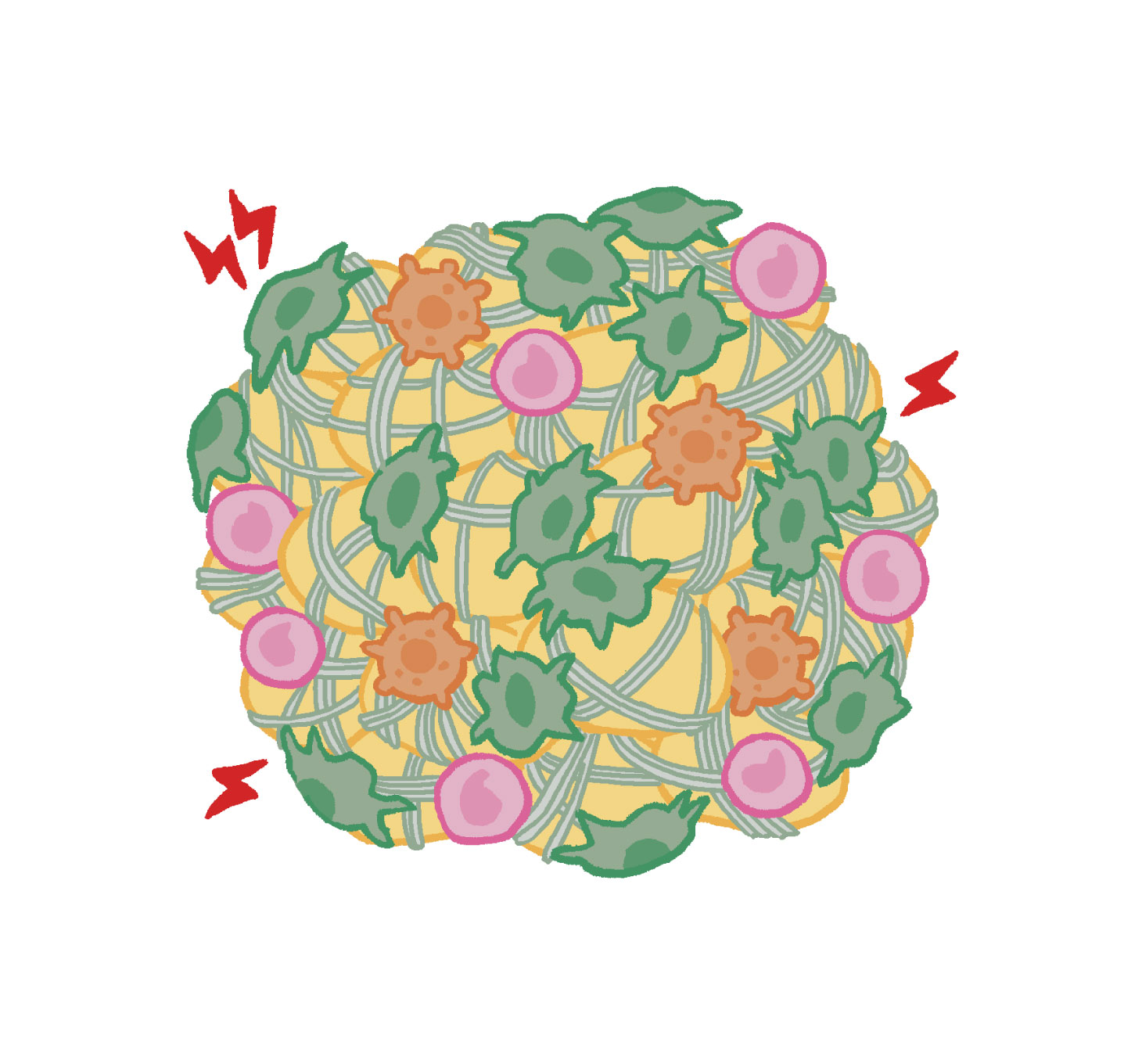 慢性炎症によって脂肪組織で線維化が進行するイメージ図