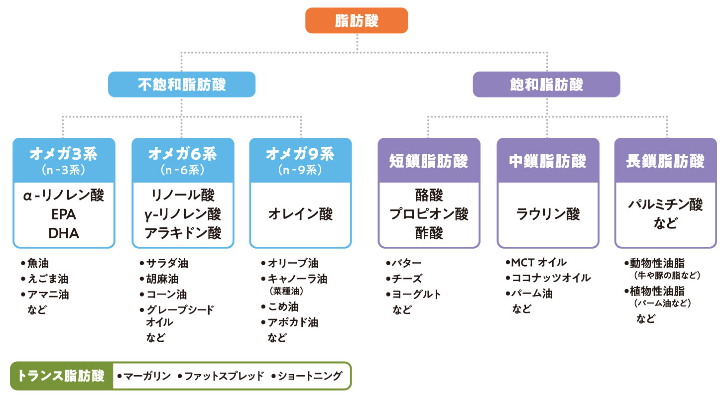 脂肪酸の種類一覧（オメガ3・オメガ6・オメガ9・中鎖脂肪酸・飽和脂肪酸・トランス脂肪酸の分類と食品例）