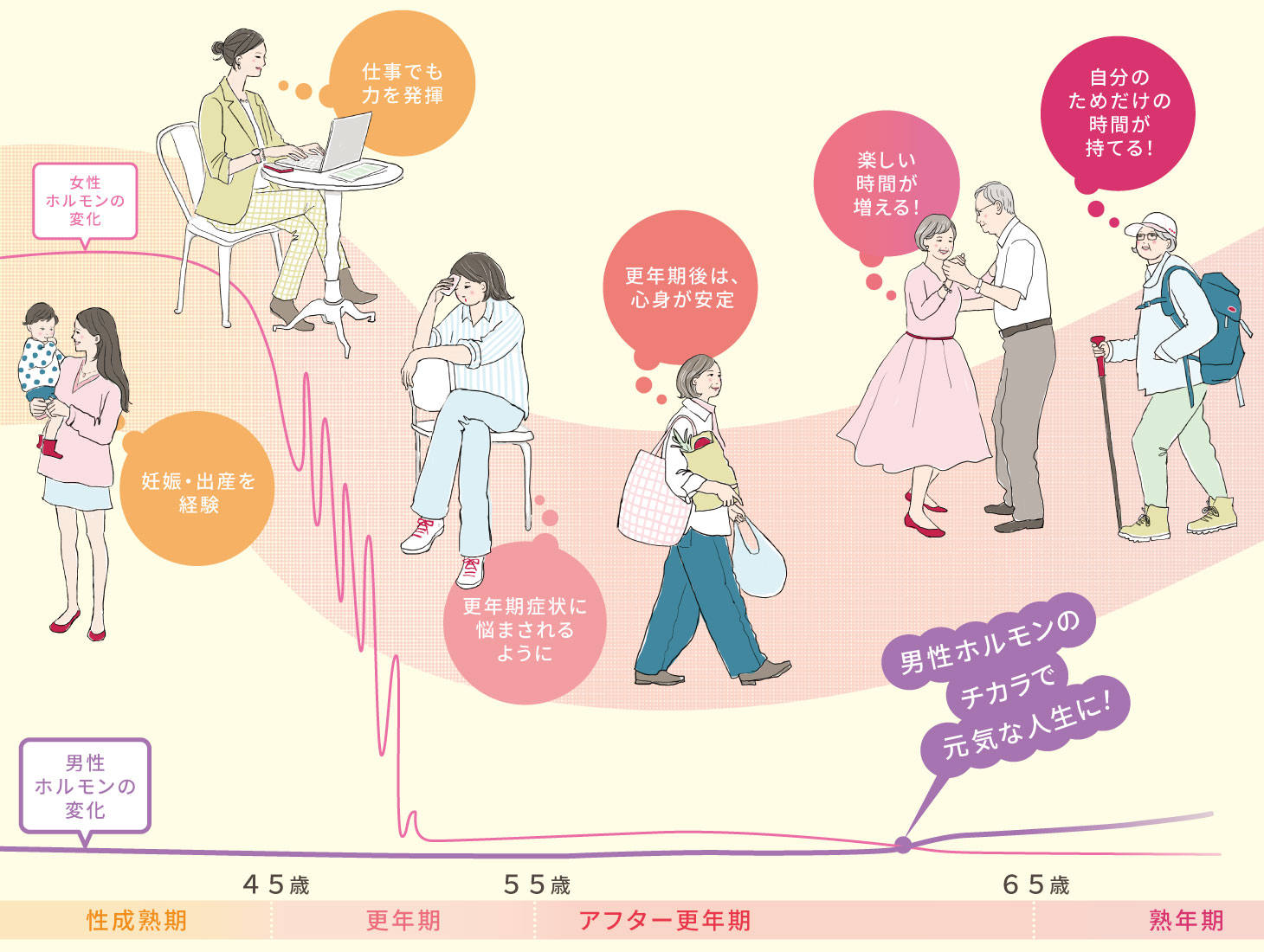 女性ホルモンと男性ホルモンの変化に伴う、性成熟期・更年期・アフター更年期・熟年期のライフステージ