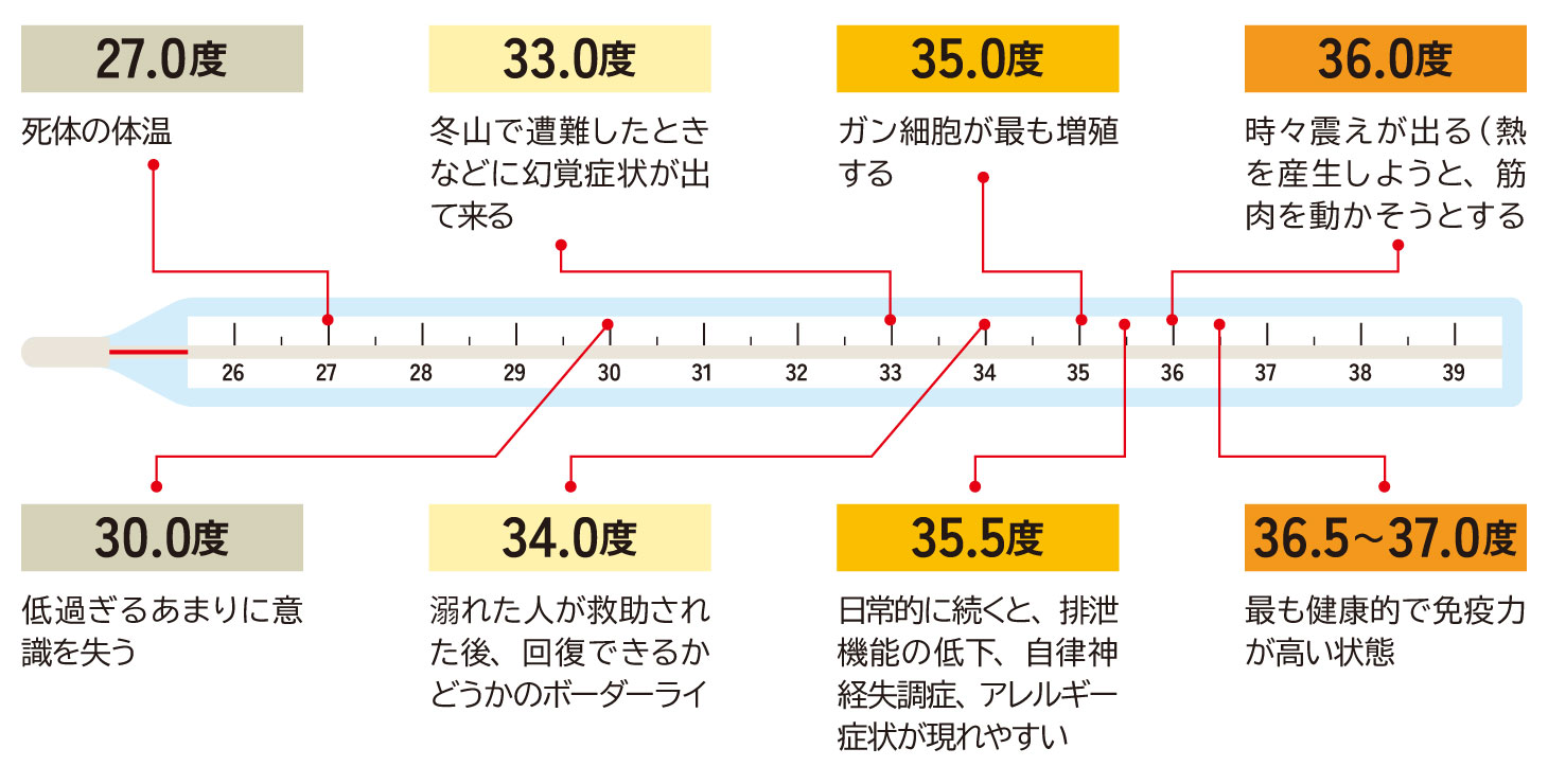 体温の目安と不調・免疫状態の関係を示した図（27〜37℃）