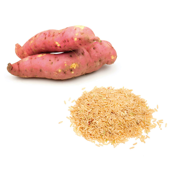 さつまいもと玄米