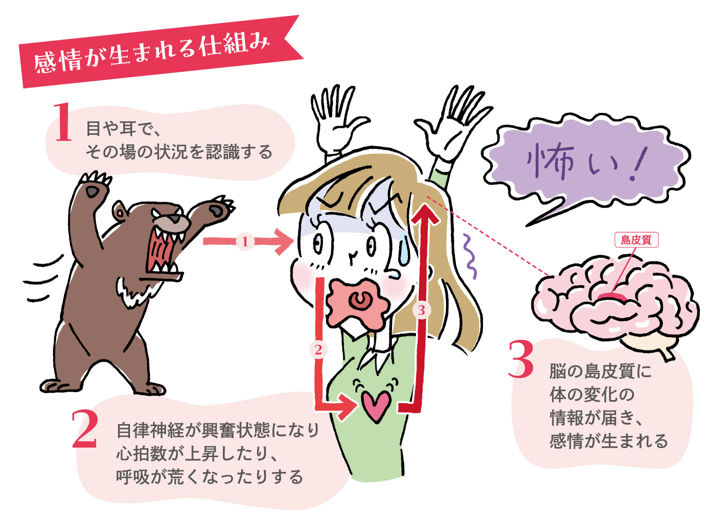 感情が生まれる仕組み（状況認識→自律神経の変化→脳で感情が生まれる）を示す図