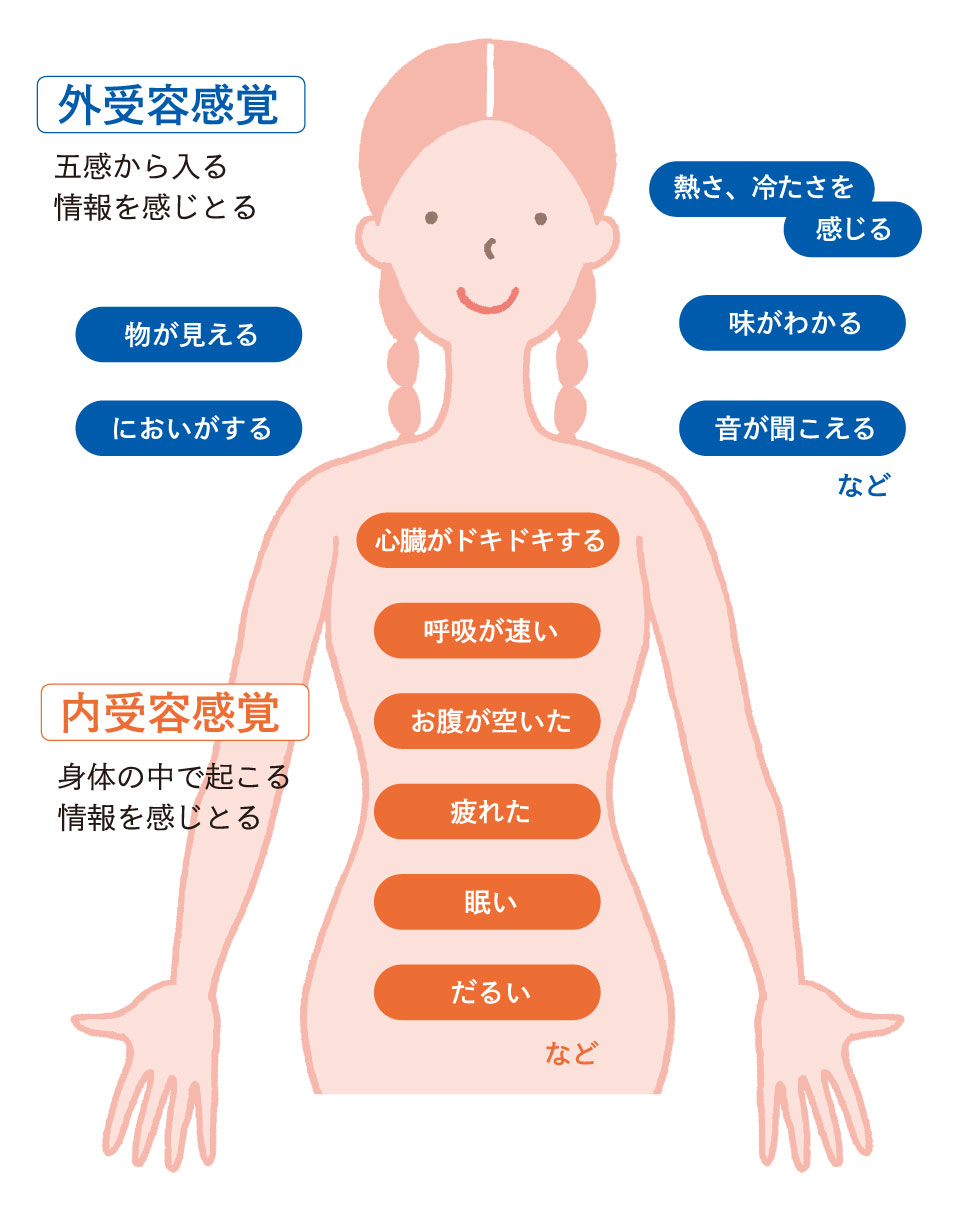 外受容感覚と内受容感覚の例（におい・音・心拍・呼吸・疲れなど）を示す人体図