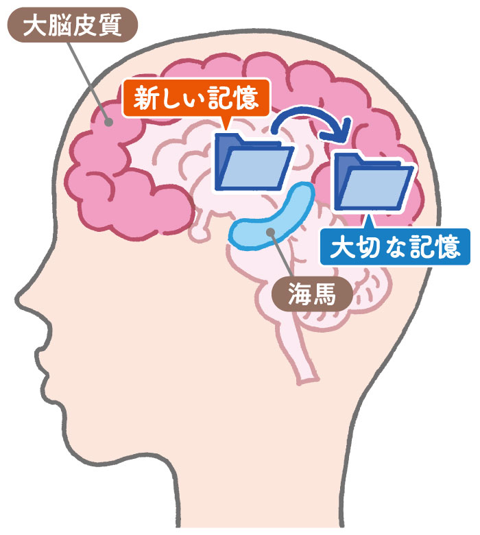 重要な記憶は、保管庫に移される。