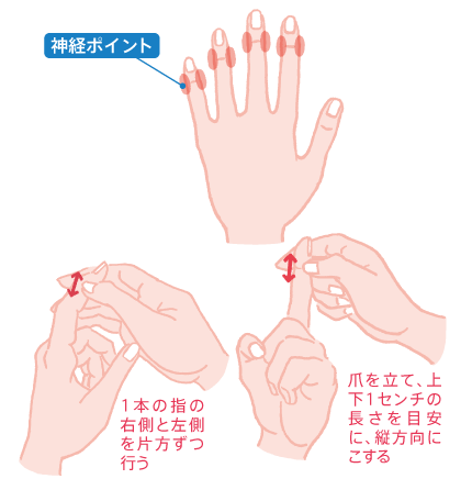 指の第一関節
