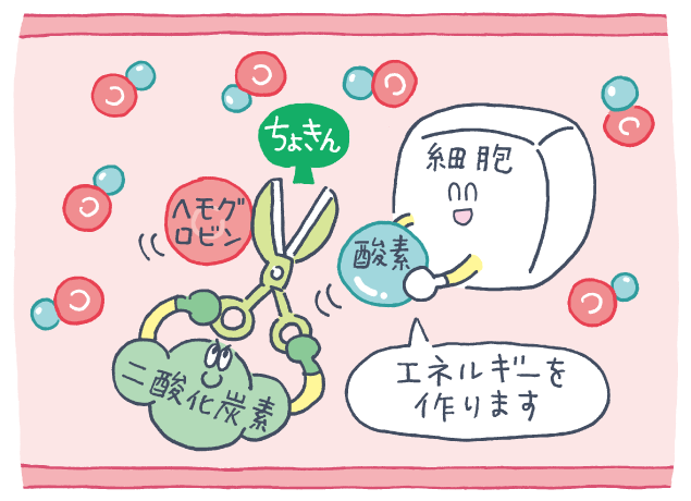 二酸化炭素が担うのは、酸素を切り離す役割