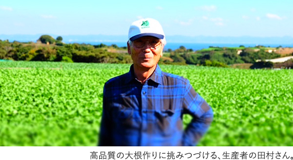 高品質の大根作りに挑みつづける、生産者の田村さん。