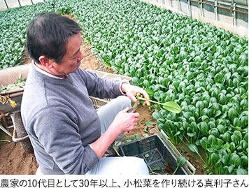 農家の10代目として30年以上、小松菜を作り続ける真利子さん