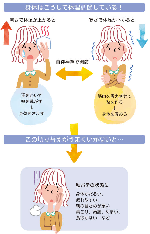 体温調節がうまくいかないことで起こる秋バテの仕組みと主な症状
