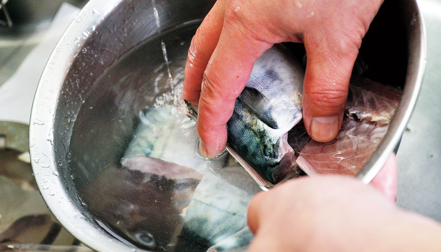 切った鯖をボウルで水洗いする